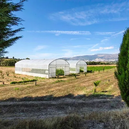House With 3 Bedrooms In Peraboa With Wonderful Mountain View Shared Pool Furnished Garden Σπίτι διακοπών *